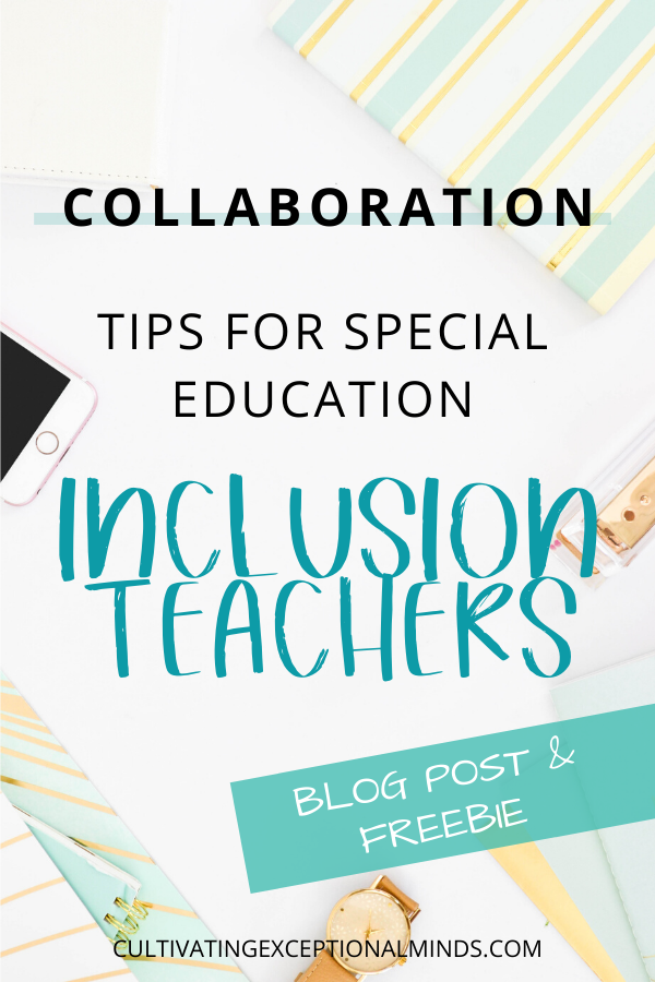 inclusion-special-education