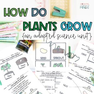 How do plants grow an adapted science unit pictured with several worksheets about the life cycle of plants 