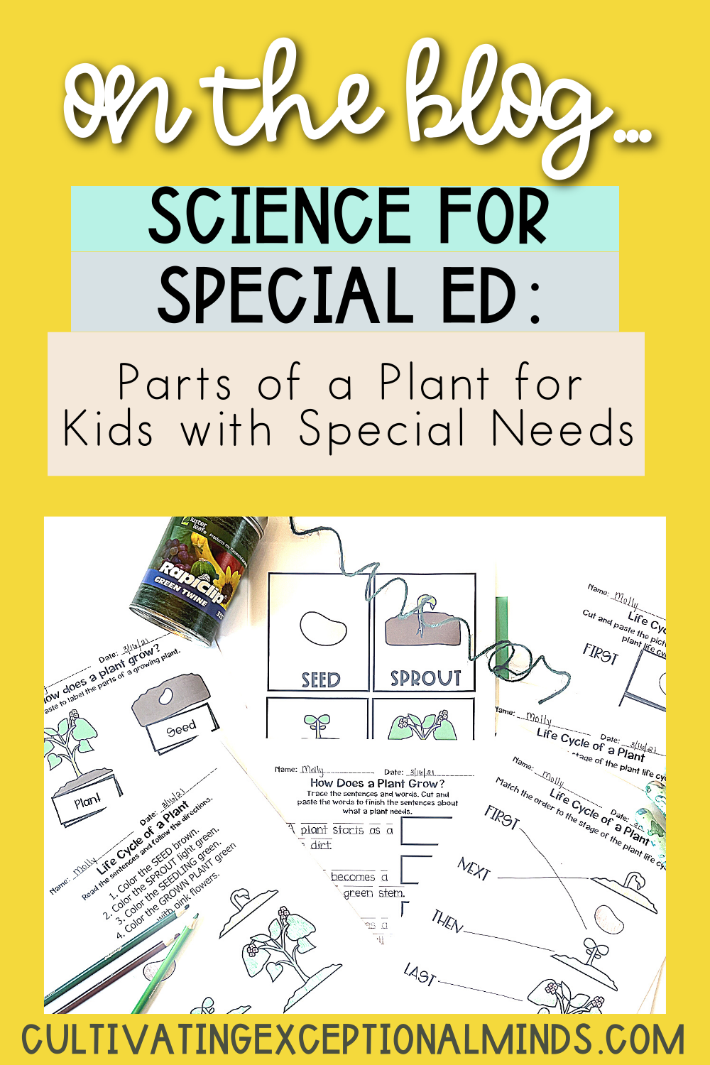 Blog post Parts of a plant for kids with special needs