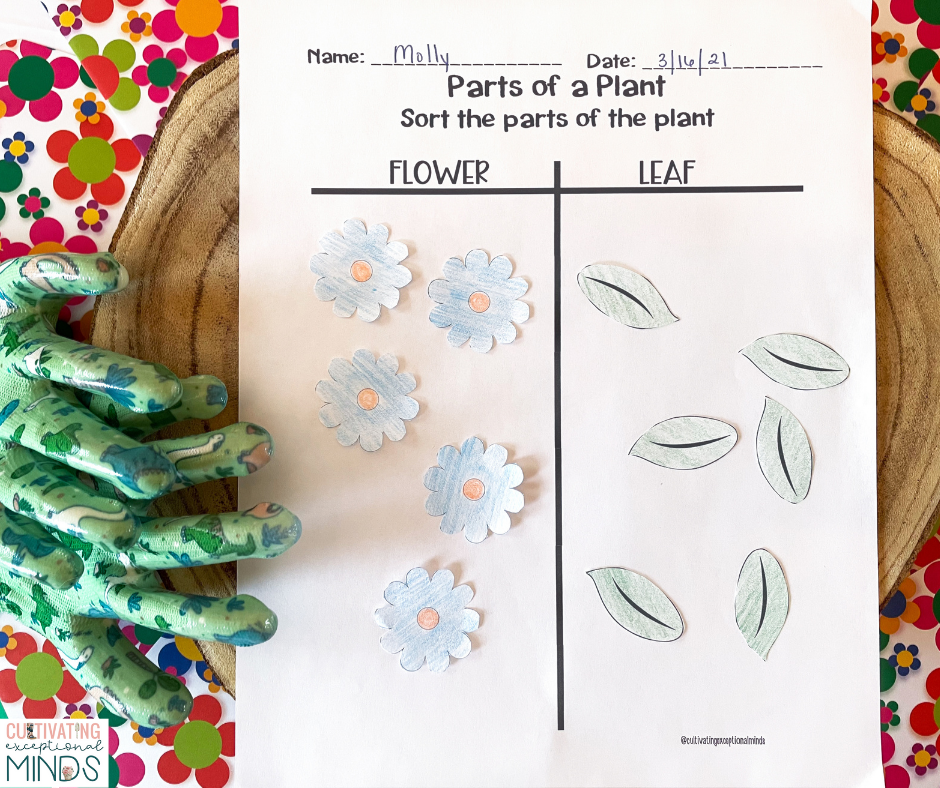 Sorting parts of a plant for kids with special needs activities. Worksheet with images of flowers and leaves sorted into two columns. 