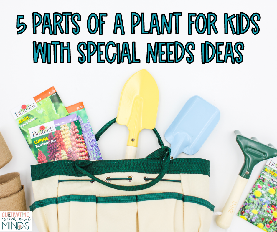 5 Parts of a Plant for Kids with Special Needs Ideas title pictured with seeds and gardening tools. 