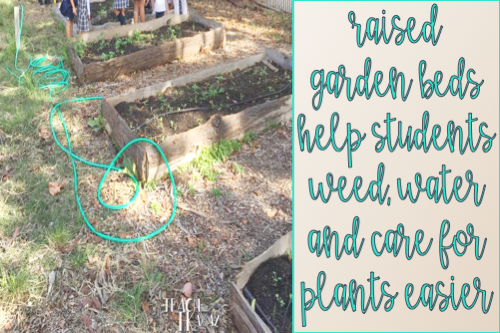 edible-school-garden