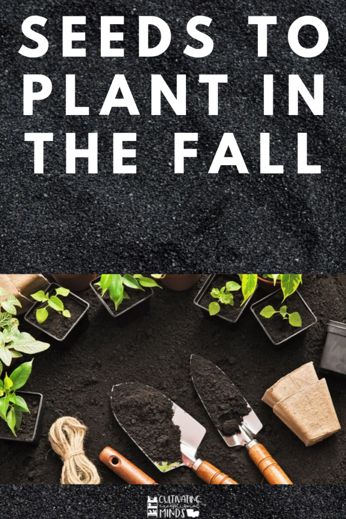 seed to plant in a fall garden