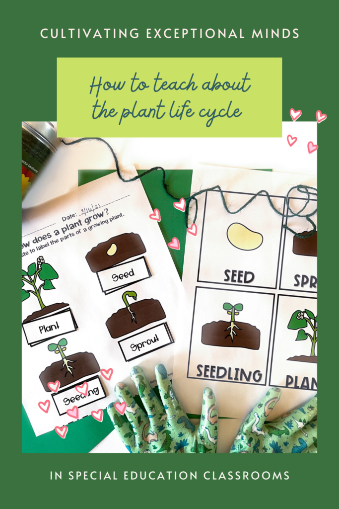 teaching-plant-life-cycle