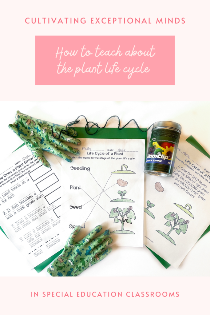 teaching-plant-life-cycle