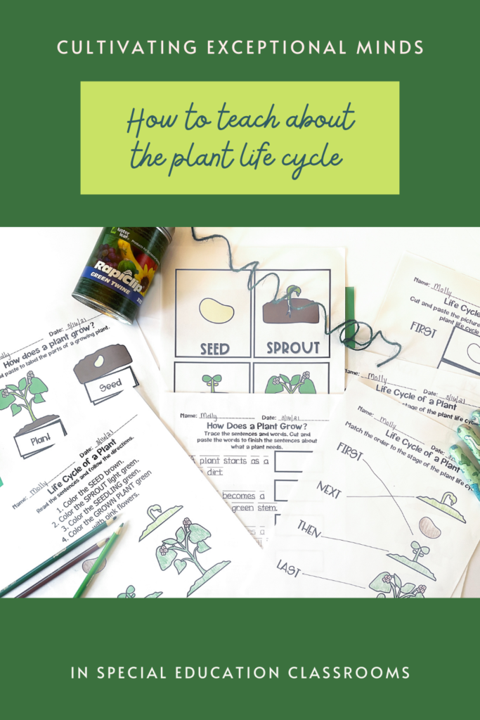 teaching-plant-life-cycle