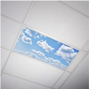 Cloud light covers over a fluorescent light. 