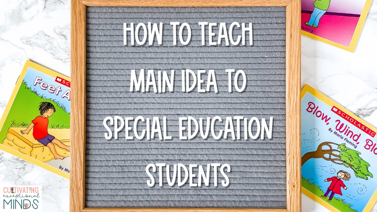 main idea for special education students