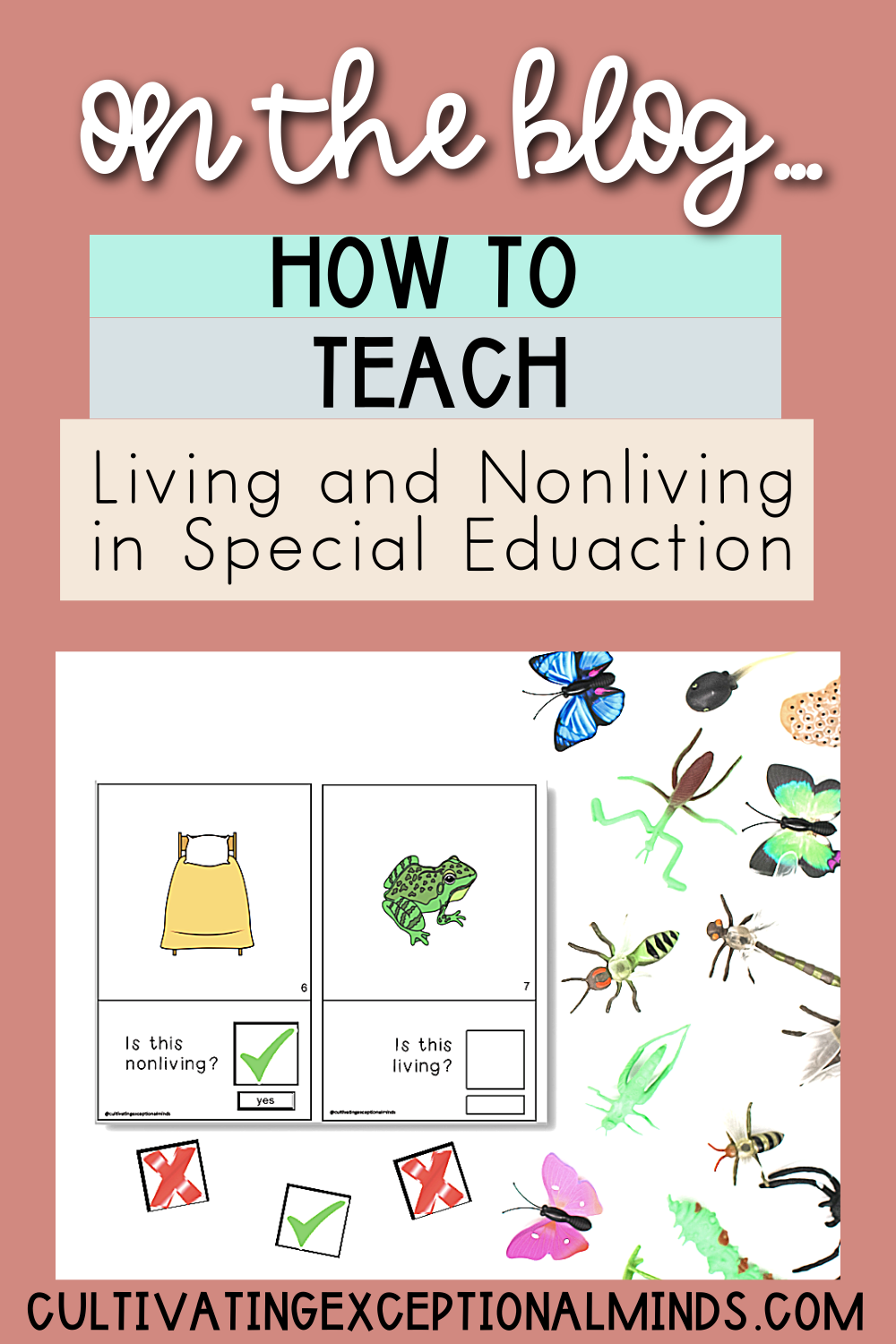 How to Teach Living and Nonliving in Special Education