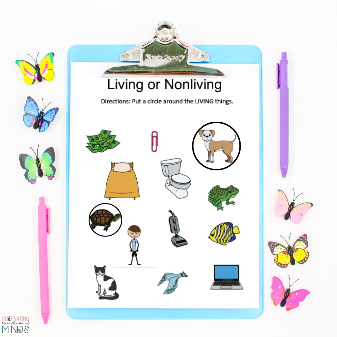 non living things pictures for kids