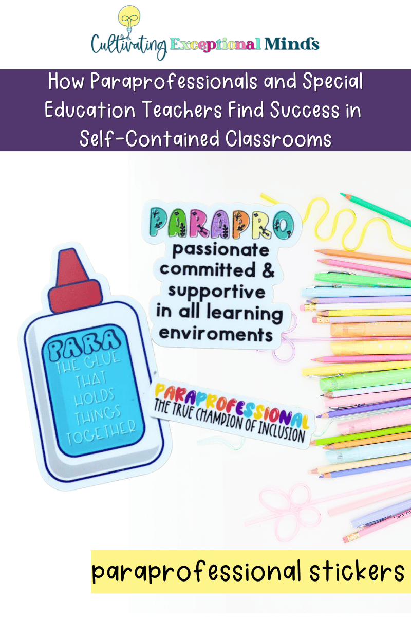 special education teacher vs paraprofessional