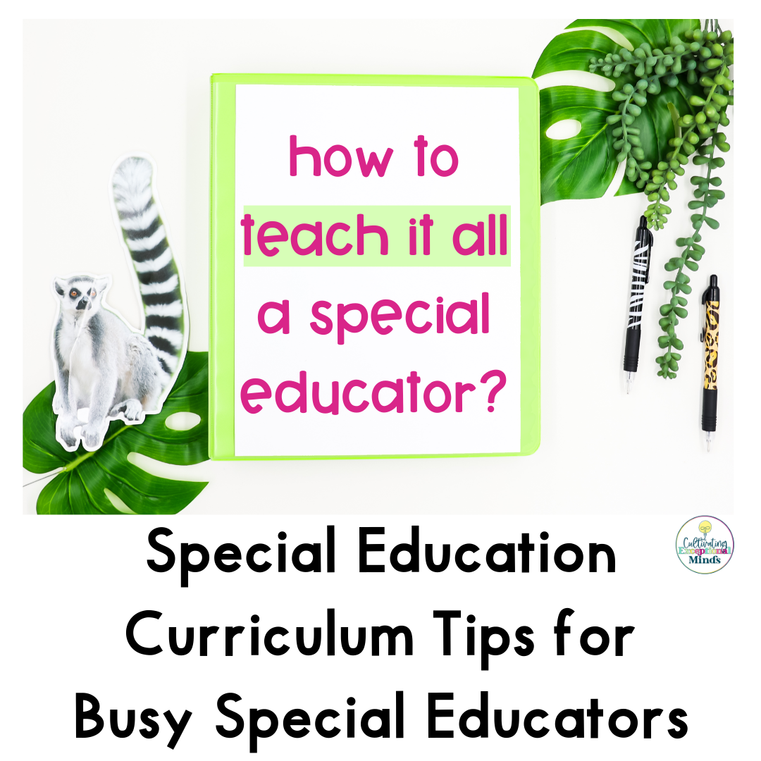 Special Education Curriculum Tips for Busy Special Educators