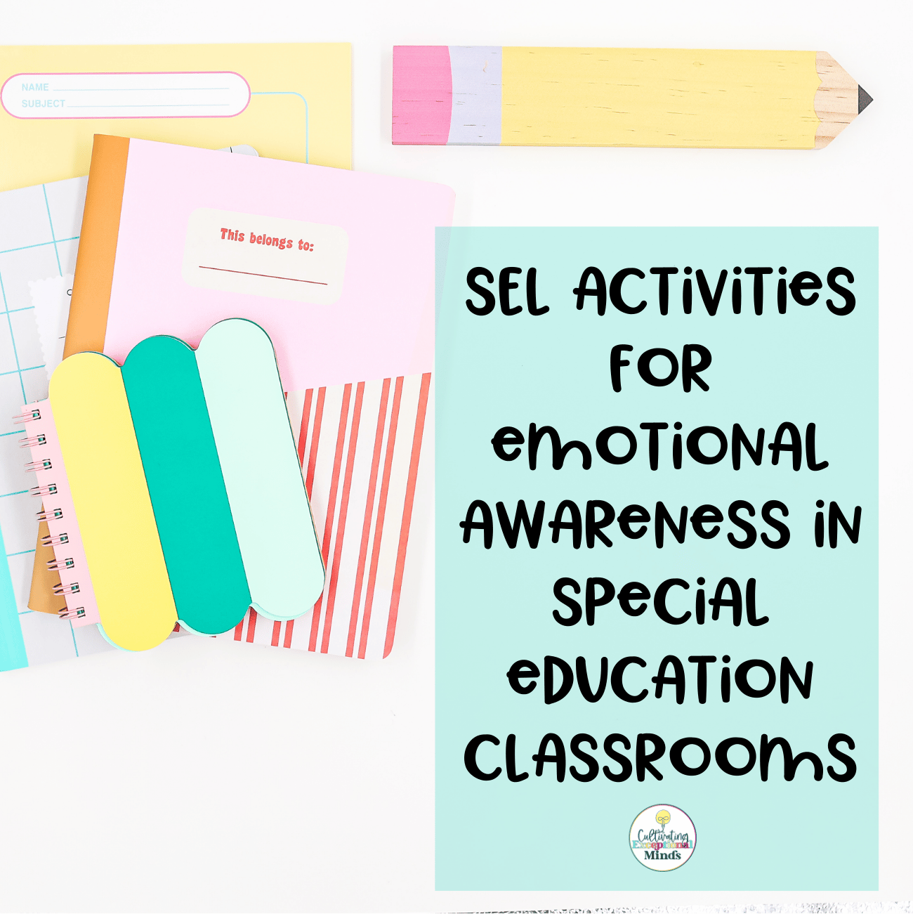 SEL activities for emotional awareness in special education classrooms